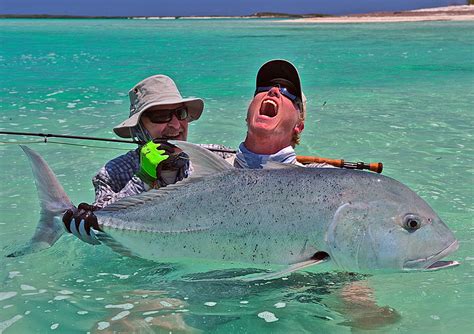 seychelles fishing packages|Alphonse Island Fly Fishing Itinerary .